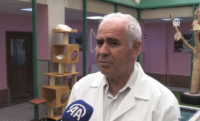 Koruma altındaki Van kedilerinden 70 yavru - Resim: 11